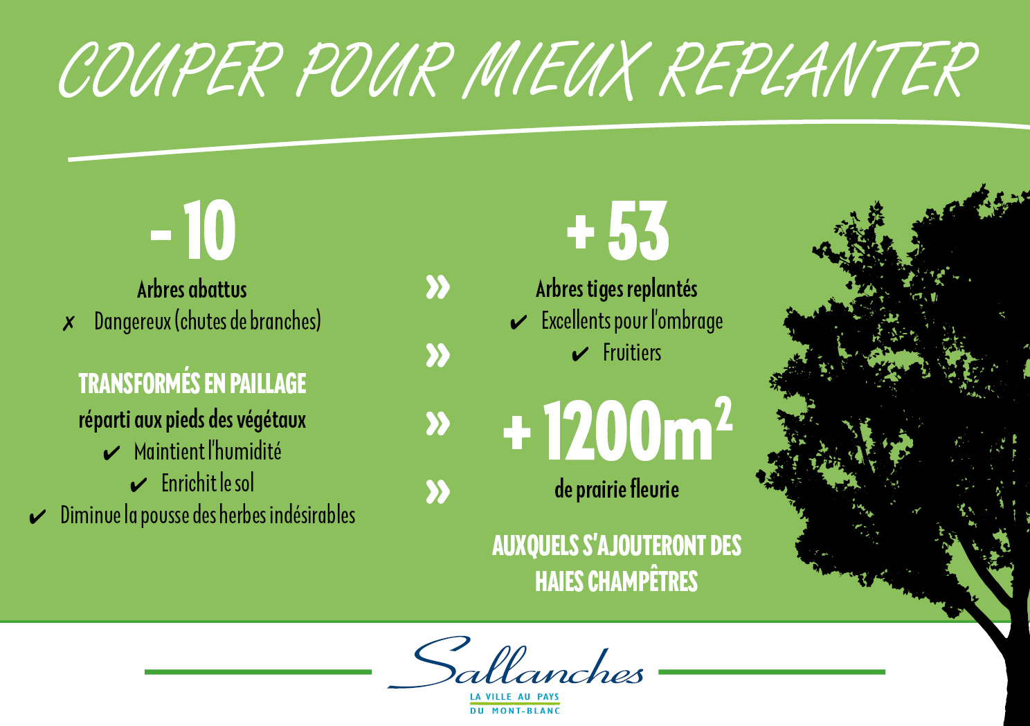 Couper pour mieux replanter