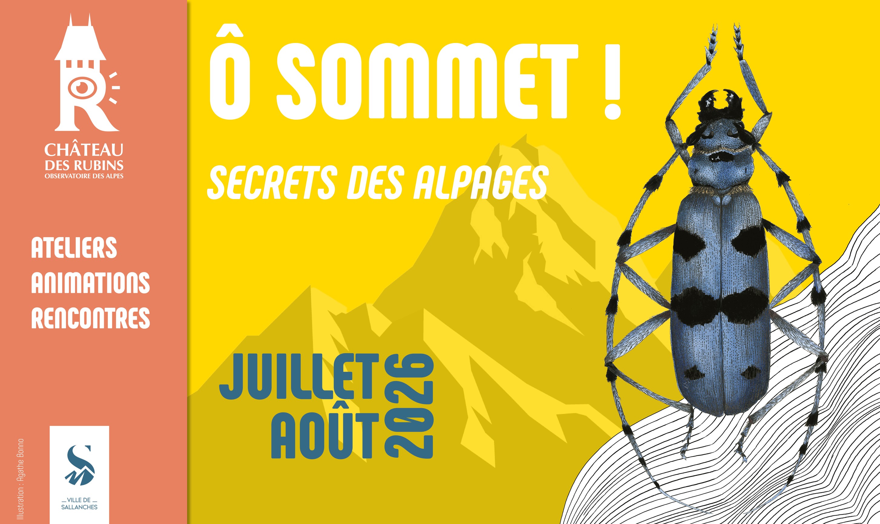 O sommet - Rubins