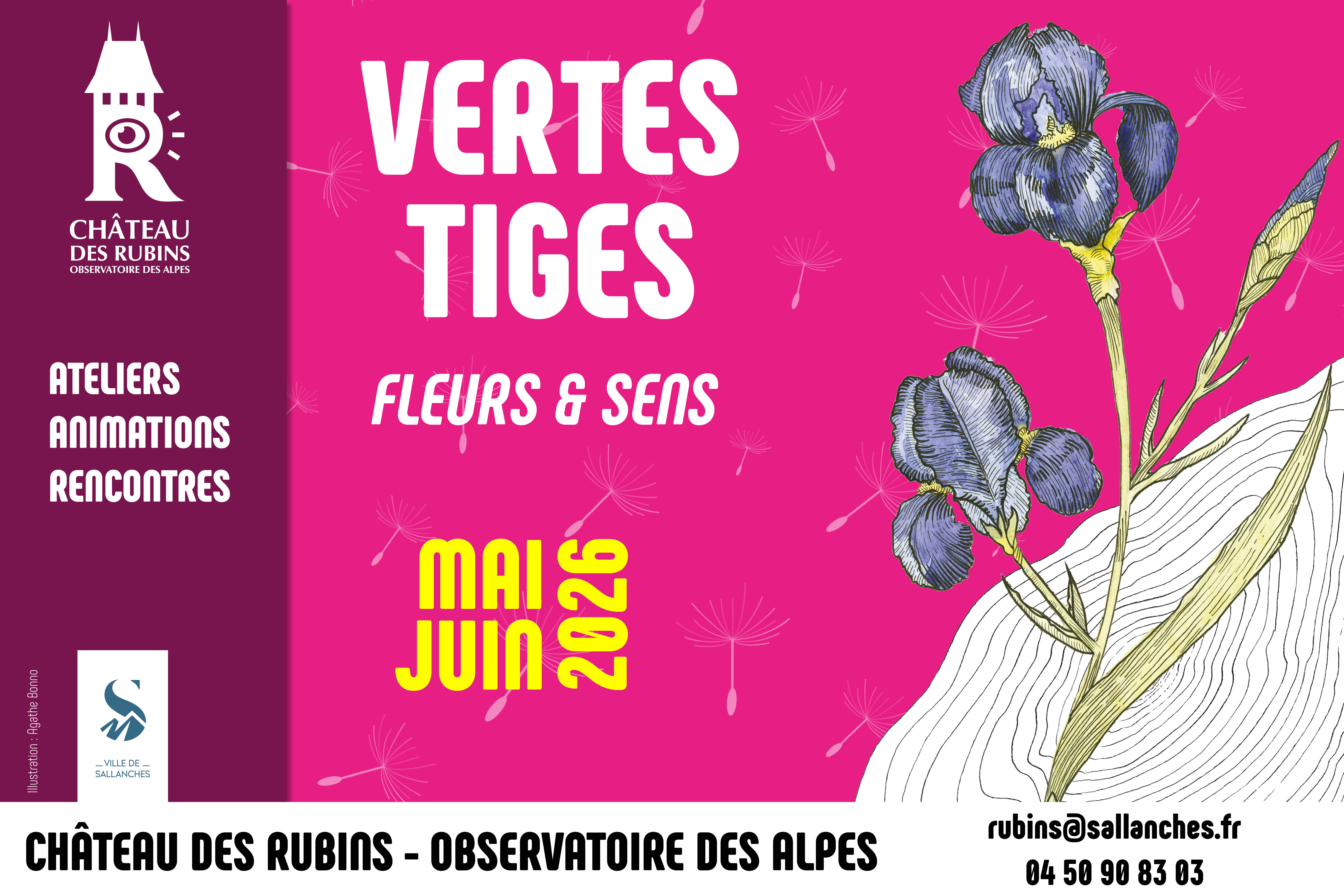 Vertes tiges