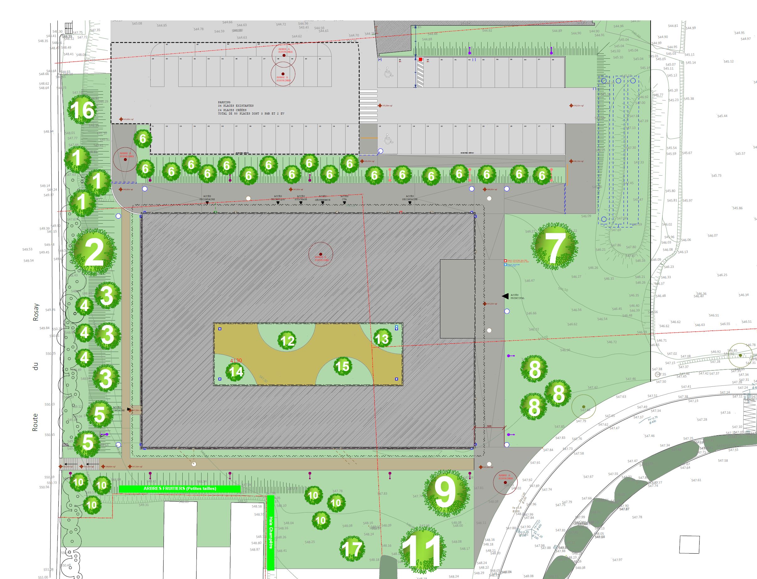 Plan des plantations EMDT