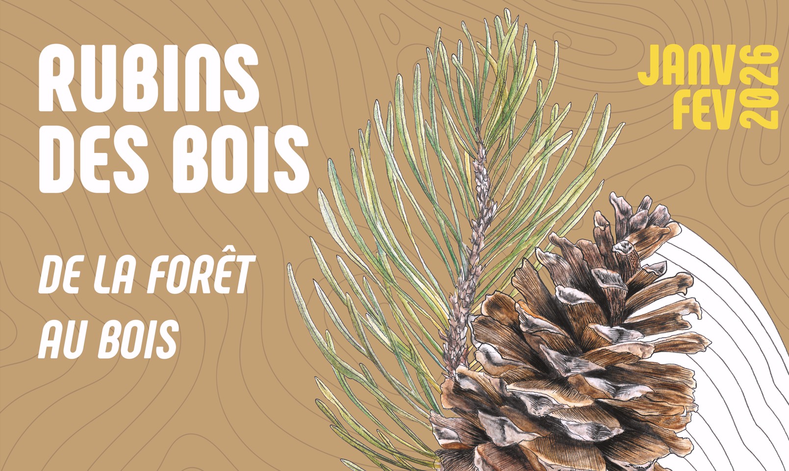 Rubins des bois