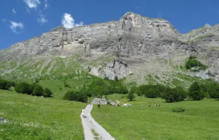 Enquête CCPMB - Sensibilisation dans les alpages