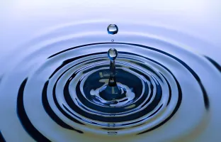 Réferendum citoyen !