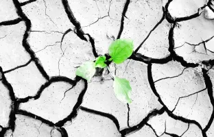 Le secteur de l'Arve placé en vigilance sécheresse