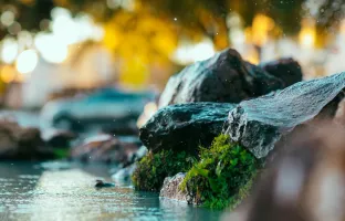 Restauration de la continuité écologique de la Sallanche