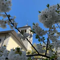 Joli mois de juin à Sallanches 🌸

📷 @villardmarick 

#sallanches #sallanchestourisme #savoiemontblanc #montblanc #destinationmontblanc #montagne #hautesavoie #hautesavoietourisme #sallanchesmontblanc